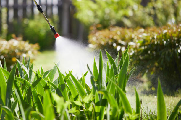 24/7 Emergency Ant Control experts in Baytown, TX