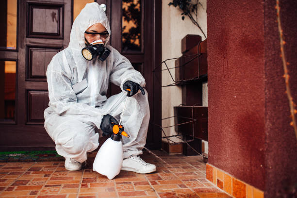 Reliable Ant Control contractor in Baytown, TX by Nex Pest Control